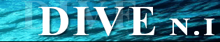 DIVE N.I is a leading Northern Ireland Scuba Diving Shop, also offering PADI Scuba Diving Courses by an Approved PADI Dive Instructor